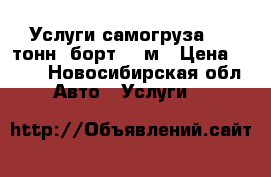 Услуги самогруза 3-5 тонн, борт 6,6м › Цена ­ 900 - Новосибирская обл. Авто » Услуги   